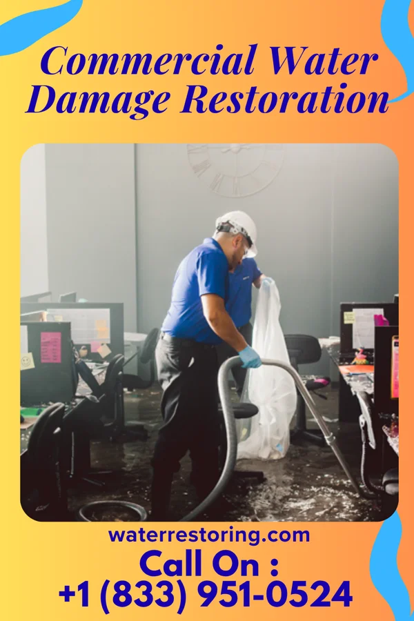 Commercial Water Damage Restoration in Dassel, MN