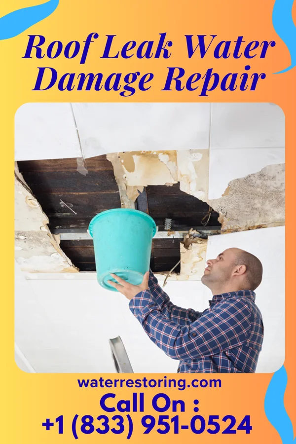 Roof Leak Water Damage Repair in Dassel, MN